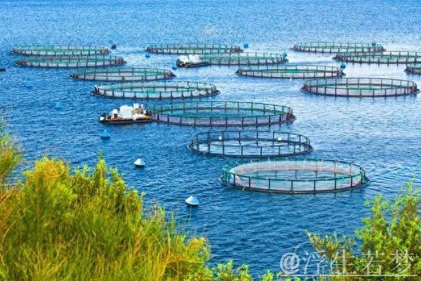 “乘数效应”打造10万亿市场 海洋经济成中国经济增长“蓝色引擎”